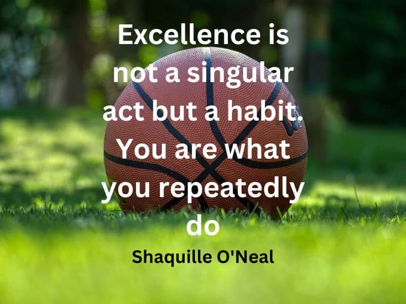 Excellence is not a singular act but a habit. You are what you repeatedly do ~ Shaquille O'Neal