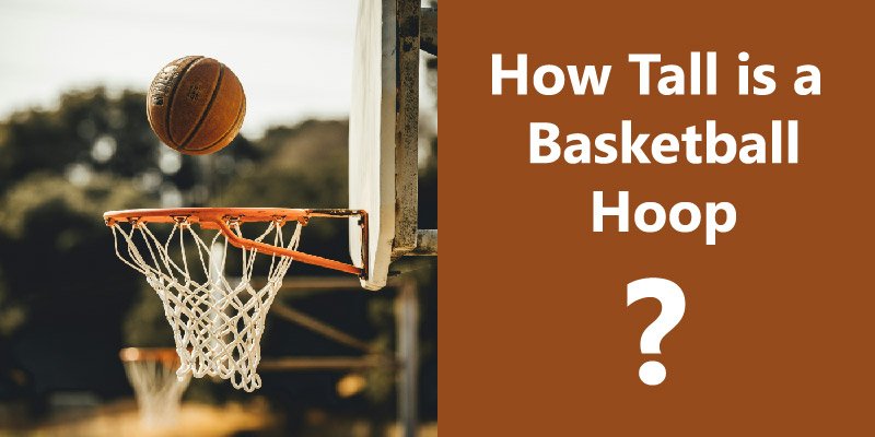 how tall is a basketball hoop 01 1